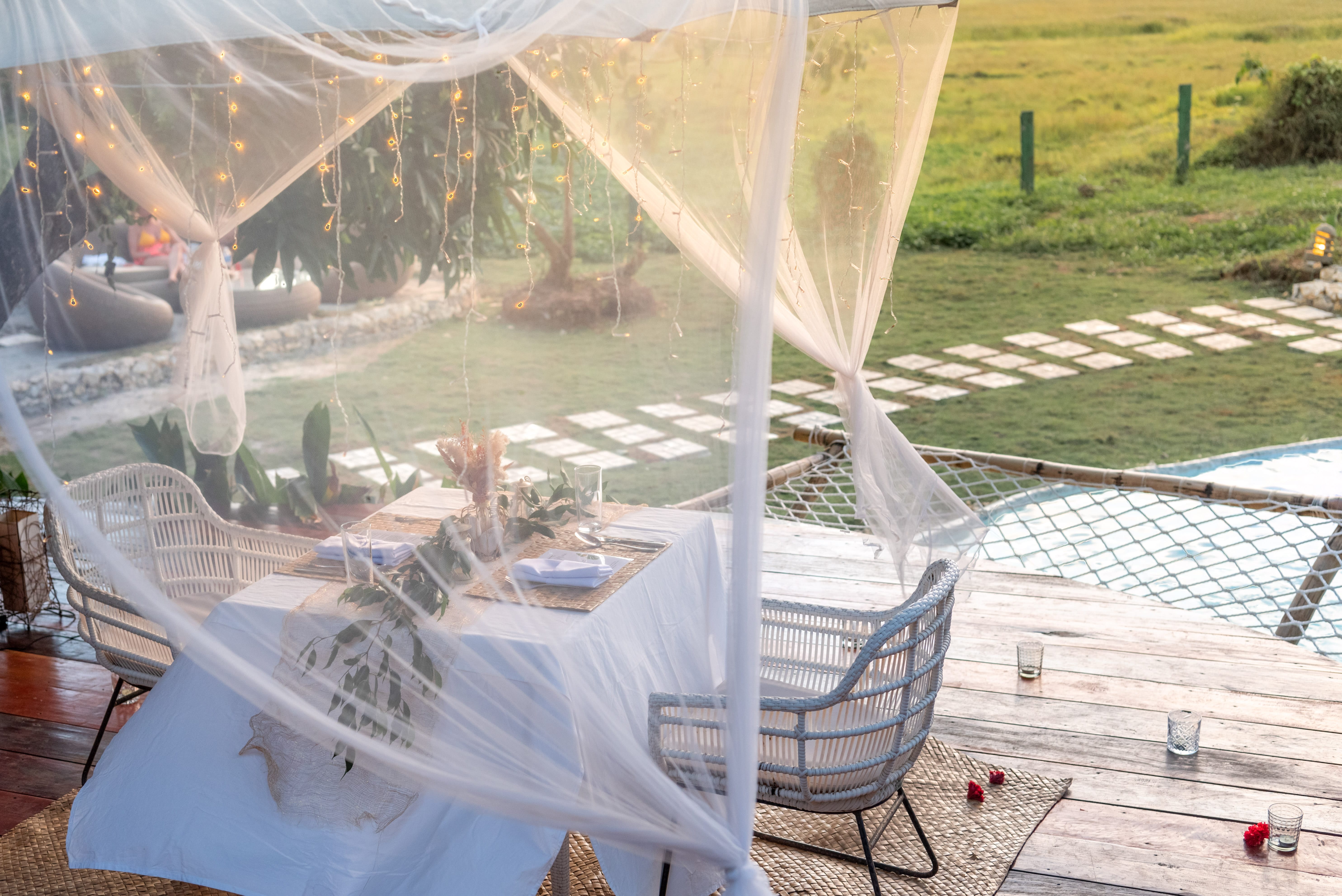 Special occasion dinner arrangement